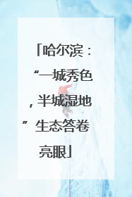 哈尔滨：“一城秀色，半城湿地”生态答卷亮眼