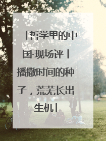 哲学里的中国·现场评丨播撒时间的种子，荒芜长出生机