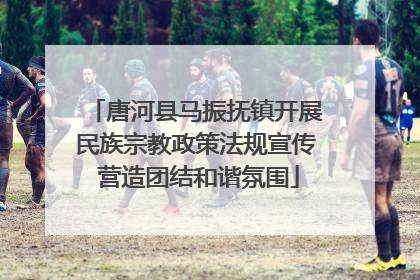 唐河县马振抚镇开展民族宗教政策法规宣传 营造团结和谐氛围
