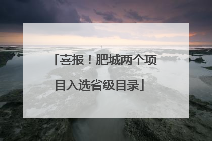 喜报！肥城两个项目入选省级目录