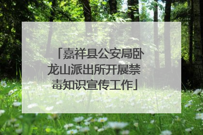 嘉祥县公安局卧龙山派出所开展禁毒知识宣传工作