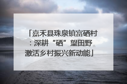 嘉禾县珠泉镇富硒村：深耕“硒”望田野 激活乡村振兴新动能