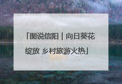 图说信阳｜向日葵花绽放 乡村旅游火热
