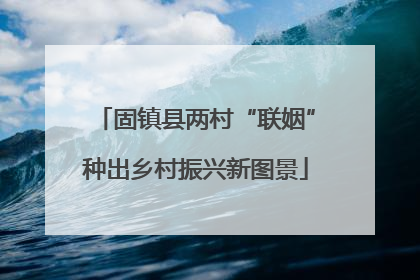 固镇县两村“联姻”种出乡村振兴新图景