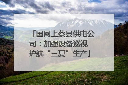 国网上蔡县供电公司：加强设备巡视 护航“三夏”生产