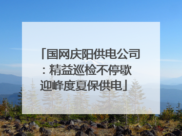 国网庆阳供电公司：精益巡检不停歇 迎峰度夏保供电