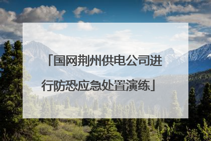 国网荆州供电公司进行防恐应急处置演练