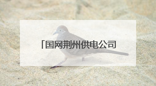 国网荆州供电公司走访泵站用户 确保迎峰度夏用电安全