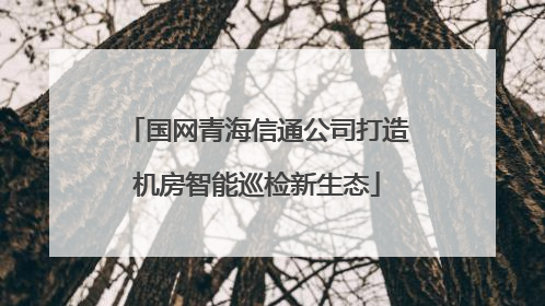 国网青海信通公司打造机房智能巡检新生态