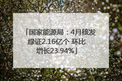 国家能源局：4月核发绿证2.16亿个 环比增长23.94%