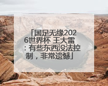 国足无缘2026世界杯 王大雷：有些东西没法控制，非常遗憾