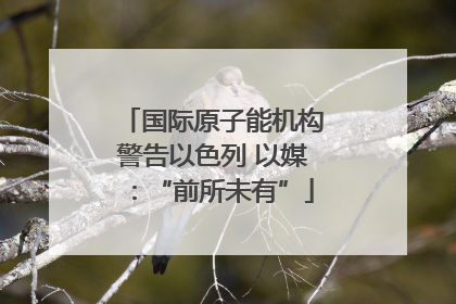 国际原子能机构警告以色列 以媒：“前所未有”