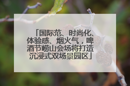 国际范、时尚化、体验感、烟火气，啤酒节崂山会场将打造沉浸式双场景园区