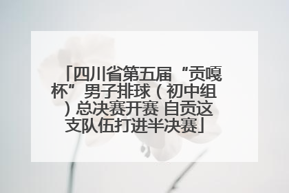 四川省第五届“贡嘎杯”男子排球（初中组）总决赛开赛 自贡这支队伍打进半决赛
