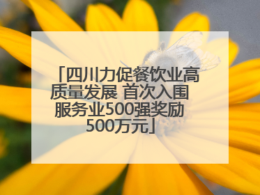 四川力促餐饮业高质量发展 首次入围服务业500强奖励500万元