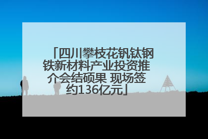 四川攀枝花钒钛钢铁新材料产业投资推介会结硕果 现场签约136亿元