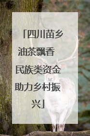 四川苗乡油茶飘香 民族类资金助力乡村振兴