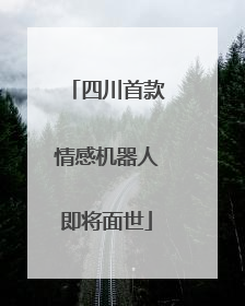 四川首款情感机器人即将面世