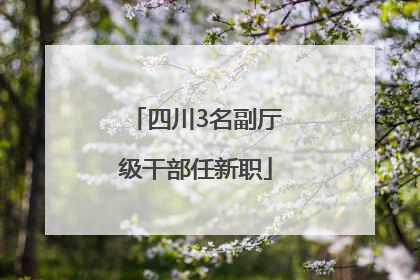 四川3名副厅级干部任新职