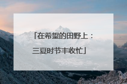 在希望的田野上：三夏时节丰收忙