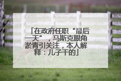 在政府任职“最后一天”，马斯克眼角淤青引关注，本人解释：儿子干的