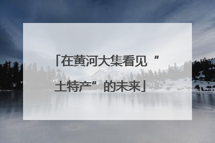 在黄河大集看见“土特产”的未来