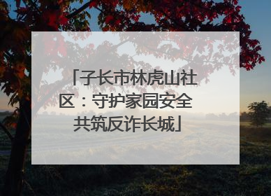 子长市林虎山社区：守护家园安全 共筑反诈长城