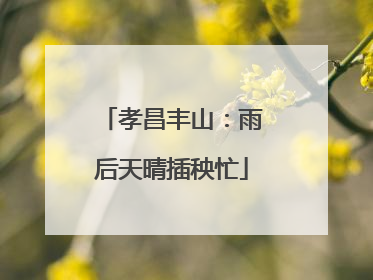 孝昌丰山：雨后天晴插秧忙