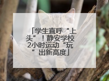 学生直呼“上头”！静安学校2小时运动“玩”出新高度