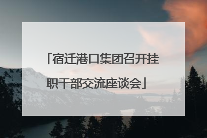 宿迁港口集团召开挂职干部交流座谈会