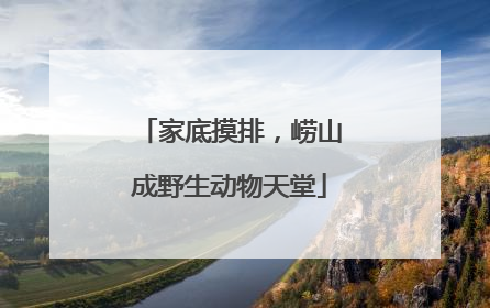 家底摸排，崂山成野生动物天堂