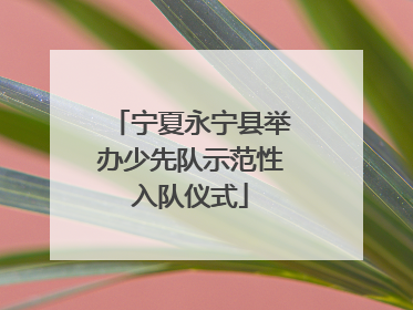 宁夏永宁县举办少先队示范性入队仪式