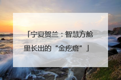 宁夏贺兰：智慧方舱里长出的“金疙瘩”