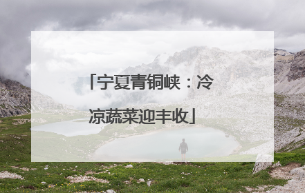 宁夏青铜峡：冷凉蔬菜迎丰收