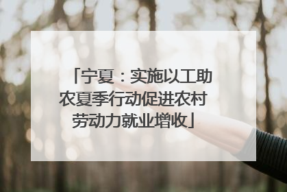 宁夏：实施以工助农夏季行动促进农村劳动力就业增收