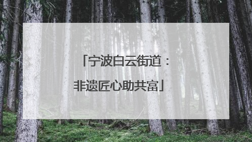 宁波白云街道：非遗匠心助共富