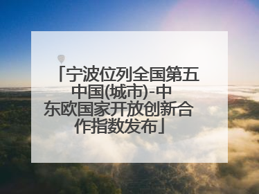 宁波位列全国第五 中国(城市)-中东欧国家开放创新合作指数发布