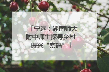 宁远：湖南师大附中师生探寻乡村振兴“密码”