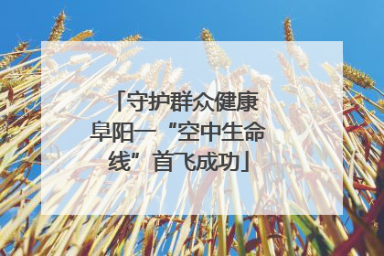 守护群众健康 阜阳一“空中生命线”首飞成功