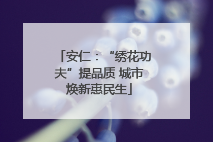 安仁：“绣花功夫”提品质 城市焕新惠民生