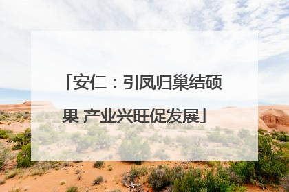 安仁：引凤归巢结硕果 产业兴旺促发展