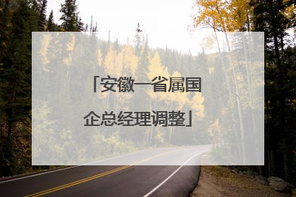 安徽一省属国企总经理调整