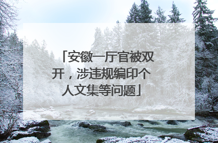 安徽一厅官被双开，涉违规编印个人文集等问题