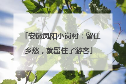 安徽凤阳小岗村：留住乡愁，就留住了游客
