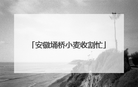 安徽埇桥小麦收割忙