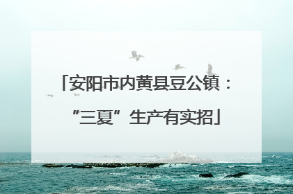 安阳市内黄县豆公镇：“三夏”生产有实招