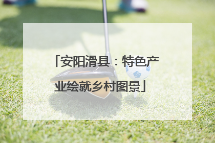 安阳滑县：特色产业绘就乡村图景