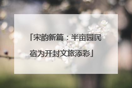 宋韵新篇：半亩园民宿为开封文旅添彩