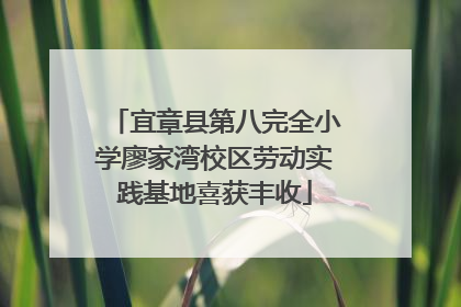 宜章县第八完全小学廖家湾校区劳动实践基地喜获丰收