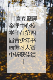 宜宾翠屏金坪中心校学子在第四届青少年书画传习大赛中斩获佳绩